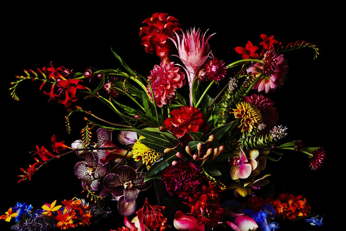 The Wilderness Collection featuring untamed native New Zealand flora